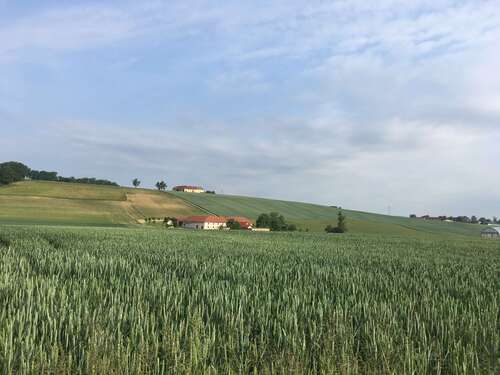 Landschaftsfoto mit Blick auf grüne Felder und Bauernhäuser in der Region Linz Land