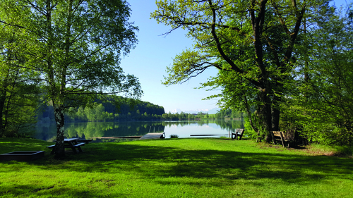 Landschaftsfoto mit Wiese, Bänken, Bäumen und mit Blick auf den Höllersee